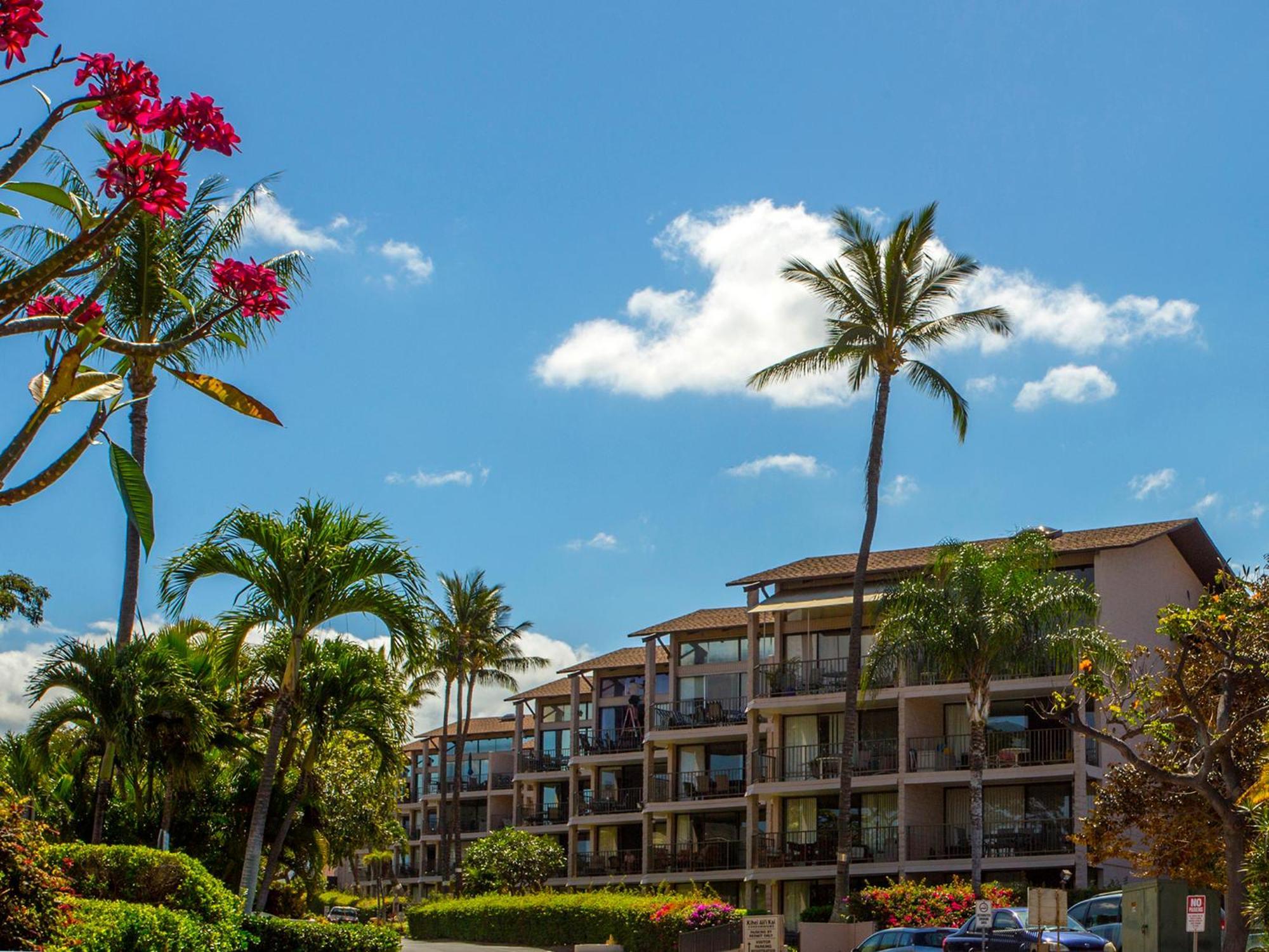 Ocean View Unit At Kihei Alii Kai Close To Beach Eksteriør bilde